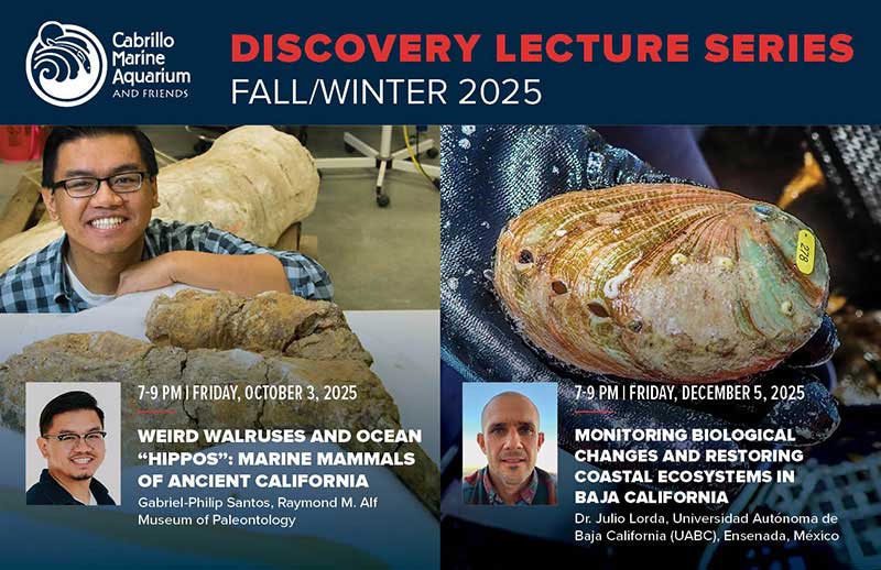 CMA-DiscoveryLecture-FallWinter2025postcard-800x526