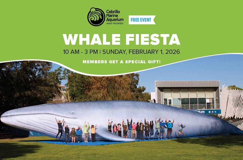 FCMA-WhaleFiesta2026-800x526-1