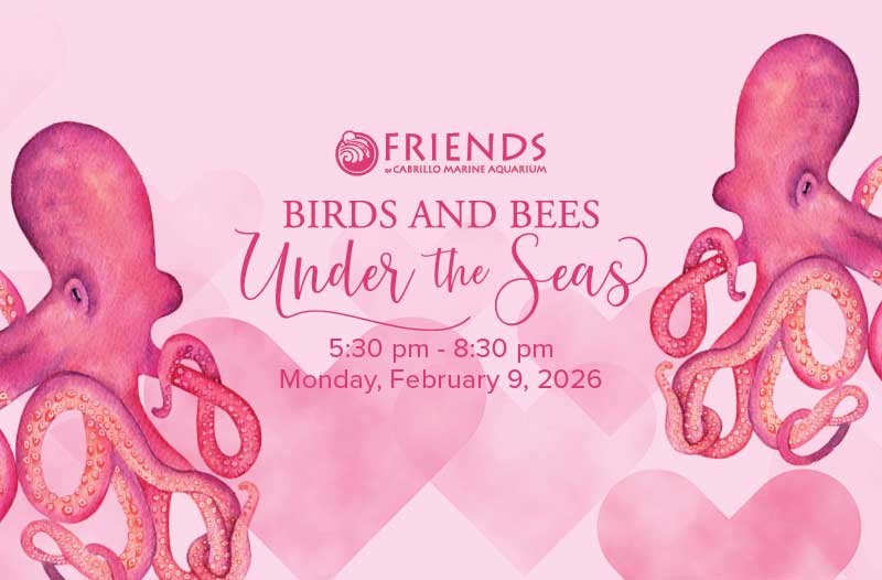 FCMA-birdsbees2026-homepage-800x526-1