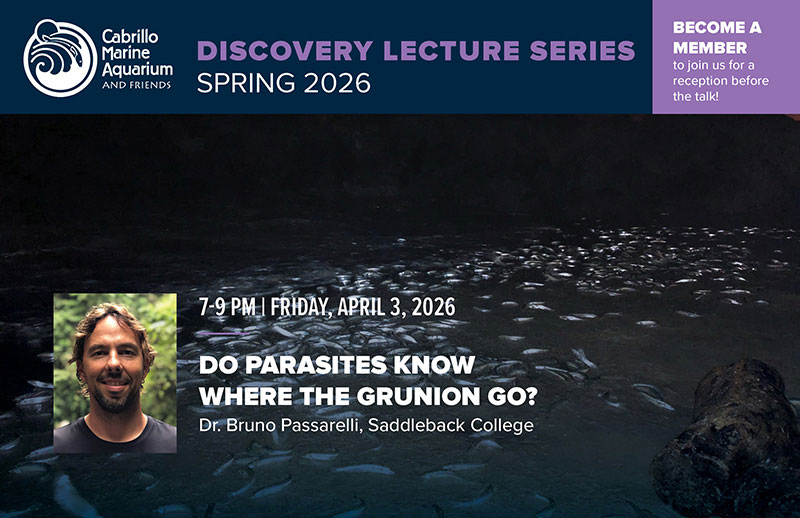 CMA-DiscoveryLecture-Spring2026postcard-front-800x526-3